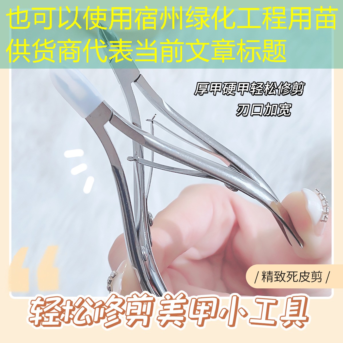 宿州绿化工程用苗供货商