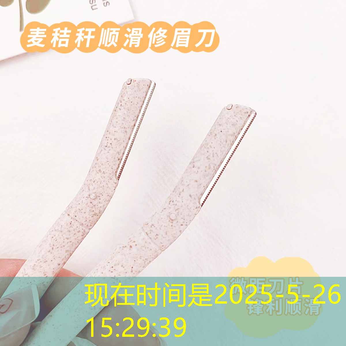 内蒙乌海绿化工程开工仪式